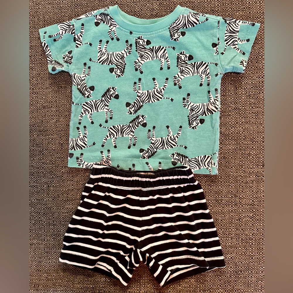 Hanna Andersson T-Shirt & Striped Short Set in Prancing Zebra on Tidepool